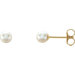 Pearl Earring