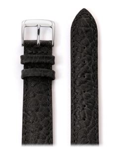 Watchband
