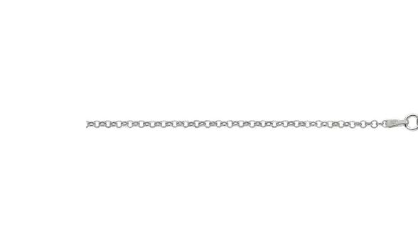 Silver Chain